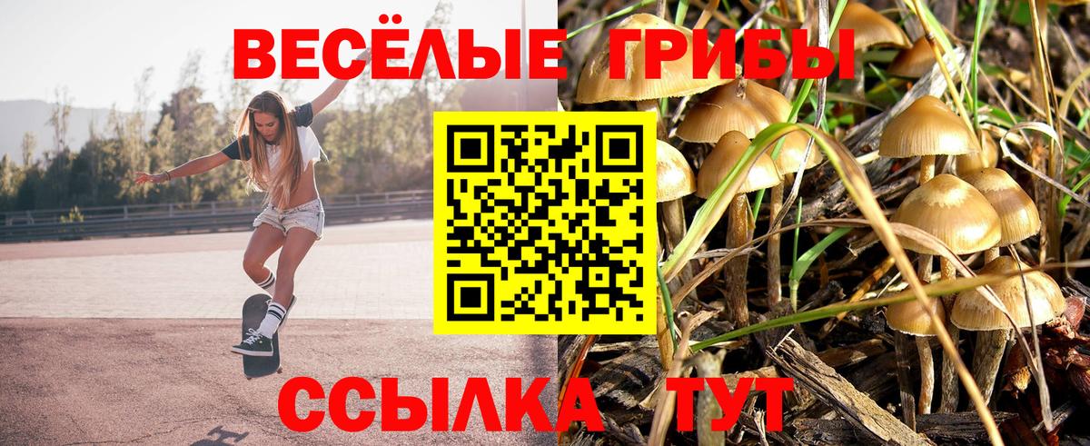 Псилоцибиновые грибы MAGIC MUSHROOMS Зеленодольск