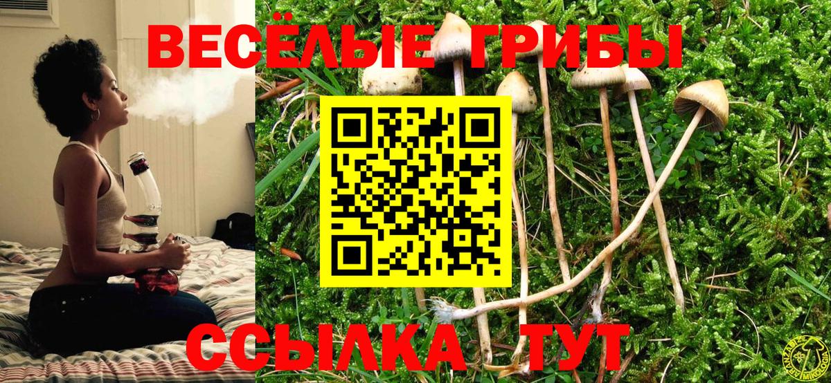 Галлюциногенные грибы ЛСД  Псилоцибиновые грибы Cubensis  Зеленодольск  Вход с VPN 